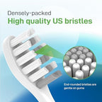 Toothbrush Heads Replacement Compatible with Gleem Electric Toothbrush - Brush Heads Refills Compatible with Gleem, White, 10 Count