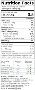 SaltWise Salicornia White Salt – Low Sodium Salt Substitute, Plant-Based Mineral Salt, Kosher, 100% Natural, No Additives (7.05 oz / 200g)
