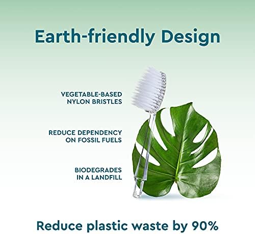 RADIUS Toothbrush Replaceable Brush Heads 2-Count Improve Gum Health & Reduce Gum Issues - Soft Big Head - Pack of 1
