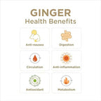 The Ginger People Organic Minced Ginger, No Artificial Ingredients, 25 oz (Pack of 1)