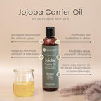 SpaRoom 100% Pure and Natural Carrier Oil, Hair and Skin Moisturizer, Aromatherapy and Massage Oil Base for Essential Oils, 8 Ounces, Jojoba Oil