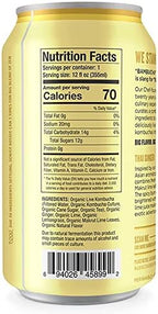 Bambucha Kombucha Thai Ginger 12 Pack Case | Chef Crafted Flavor, 100% Raw Kombucha Tea Drink | Organic, Vegan, Gluten Free, Non GMO, Probiotic (12 Fl Oz Cans)