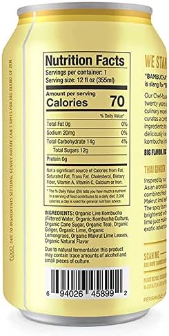 Bambucha Kombucha Thai Ginger 12 Pack Case | Chef Crafted Flavor, 100% Raw Kombucha Tea Drink | Organic, Vegan, Gluten Free, Non GMO, Probiotic (12 Fl Oz Cans)