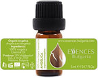 Essences Bulgaria Organic Angelica Essential Oil 1/6 Fl Oz | 5ml | Angelica archangelica | 100% Pure and Natural | Undiluted | Therapeutic Grade | Family Owned Farm | Steam-Distilled | Non-GMO | Vegan
