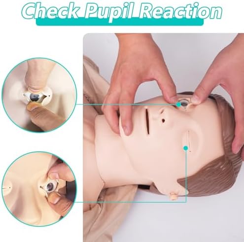 CPR Manikins Dummy Training Kit, Professional CPR Dummies Test Dummies Adult with Medium Skin MCR Med-ical Accessories, CPR Training Set for Classroom or Research Centers
