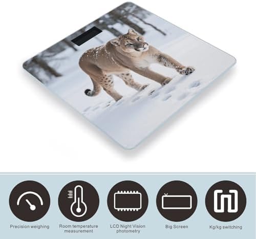 Mountain Lion Weight Scale for Body Weight Digital Bathroom Scale High Capacity Accurate Digital Weighing Scales and Easy-to-Read on Backlit LCD Display