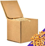 PlainGrains. The Natural Way | 5.5 LB Dry Spelt Wheat Berries | 14.5% Protein by Volume | Uncooked, Unground, Whole Grain | Single Box