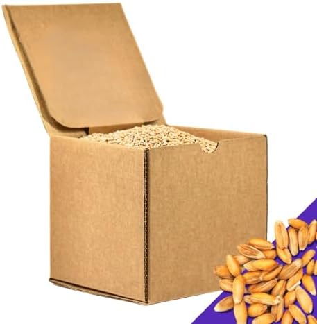PlainGrains. The Natural Way | 5.5 LB Dry Spelt Wheat Berries | 14.5% Protein by Volume | Uncooked, Unground, Whole Grain | Single Box