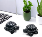 RICHRAIN Shungite Turtle, Pocket Shungite Home Protection Crystals and Stones