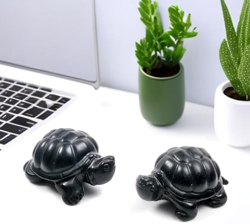 RICHRAIN Shungite Turtle, Pocket Shungite Home Protection Crystals and Stones