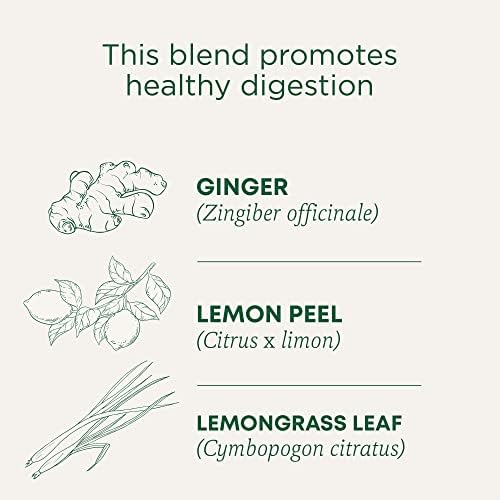 Traditional Medicinals Organic Lemon Ginger Tea, 1.13 Oz, 16 Count