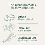Traditional Medicinals Organic Lemon Ginger Tea, 1.13 Oz, 16 Count