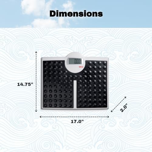 seca 813 - High Capacity Digital Flat Scale for Individual Patient use