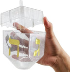 The Dreidel Company Jumbo Hanukkah Fillable 6.5" Inch Dreidel, Stands Straight on Table, Can Be Filled with Hanukkah Gelt or Any Hanukkah Item (Single)