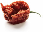Unpretentious Whole Dried Carolina Reaper Chiles, Extremely Spicy Chiles, Hot Sauce (50 Count)