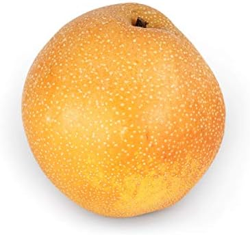 Asian Pear