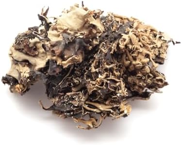 Aiva Dagad Phool | Stone Flower Spice | Kalpasi Masala | Black Lichen | Indian Cooking Ingredient | Biryani Seasoning 3.5 oz (100g)