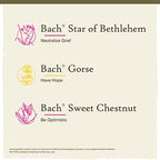 Bach Original Flower Remedies, Hope and Joy Kit, For Comfort and Optimism, Natural Homeopathic Flower Essence, Holistic Wellness, Vegan, 3 x 20mL Droppers