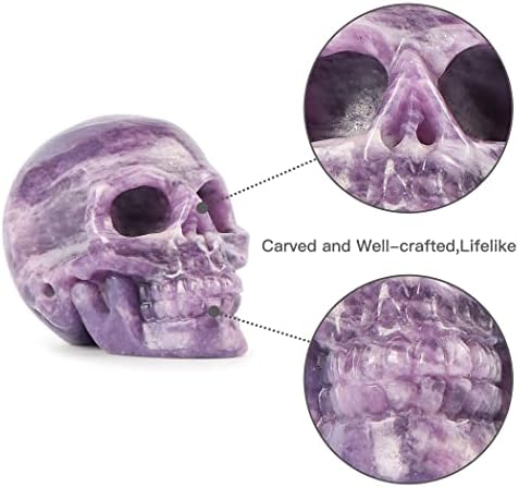 Artistone 2" Crystal Human Skull Head Decor Statue Carved Gemstone Purple Lepidolite Skeleton Head Art Figurines Reiki Healing Stone for Halloween Christmas Ornaments Home Office Decoration