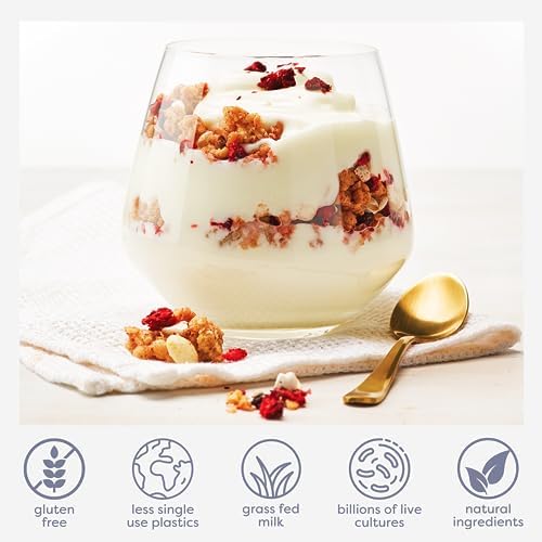 EasiYo Yogurt Starter Kit | EasiYo Yogurt Maker, Storage Jar and Greek Style Plain 2% Yogurt Base (35oz, Makes 7 Servings) | Fresh Homemade Yogurt | New Zealand Milk from Grass Fed Cows