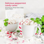 Fusion Select 100 Pcs Mini Candy Canes - Striped Christmas Candies, Sweet Goodies for the Holidays - Naturally Flavored Mini Peppermint Confections for Yuletide Parties, Stocking Stuffers, Gifts