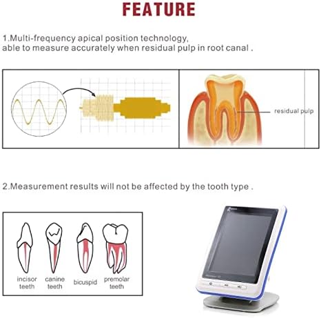 Woodpecker Woodpex III Endodonitc Apex Locators Root Canal Finder Measure Sold by JMU
