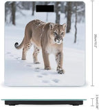 Mountain Lion Weight Scale for Body Weight Digital Bathroom Scale High Capacity Accurate Digital Weighing Scales and Easy-to-Read on Backlit LCD Display
