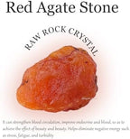 Apengshi Red Agate Stone Raw Crystals 2PCS Natural Rough Rocks Healing Crystal and Stones DIY Raw Stones Meditation Fountain Garden Home Decor