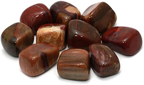 CrystalAge Fossil Wood Tumble Stone (20-25mm)