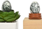 Justinstones Tree Agate Natural Gemstone Quartz 30mm Egg Shaped Crystal Healing Chakra Energy Balancing Meditation Home Office Decor Stone with Stone Stand