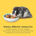 Kaytee Fiesta Hamster & Gerbil Food, Nutritious and Fun Blend, Supports Dental Health and Digestion, 2.5 pounds