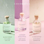 COCORRÍNA Eucalyptus Reed Diffuser Set of 3 - Lavender Eucalyptus, Black Forest, Clean Cotton Scents, 1.7 fl oz Each, Total 5.1 oz, Scented Oil Diffusers for Home & Office
