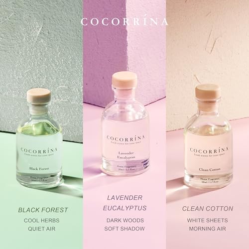 COCORRÍNA Eucalyptus Reed Diffuser Set of 3 - Lavender Eucalyptus, Black Forest, Clean Cotton Scents, 1.7 fl oz Each, Total 5.1 oz, Scented Oil Diffusers for Home & Office