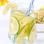 Dried Lime Slices 17.6oz/500g, Dehydrated Lime For Cocktails，Cake Decoration Cocktail Decoration Table Flowers Candle Crafts, No Additives, No Sugar Added (17.6 oz)