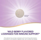 Nature's Way Zinc Lozenges with Vitamin C & Echinacea, Zinc Supplements for Men and Women, Immune Support*, Wild Berry Flavor, 60 Lozenges (Packaging May Vary)