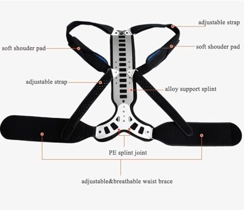 Spine Back Support Brace Posture Correctors For Men Women Teenager Adjustable Metal Straps Shoulder Neck Clavicle Lumbar Support Straightener(Large)