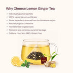 Nepaya Lemon Ginger Green Tea Bags – 15 Individually Wrapped Biodegradable Pyramid Tea Bags, Low Caffeine, Fruity Citrus Flavor with Zesty Lemon & Spicy Ginger, Premium High-Grown Nepal Green Tea