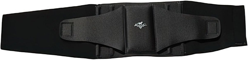 Professionals Choice Comfort Fit Low Back Support