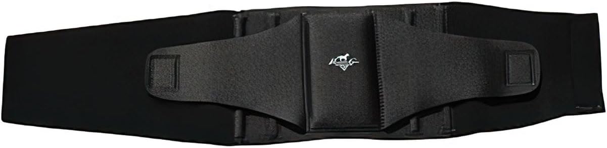 Professionals Choice Comfort Fit Low Back Support