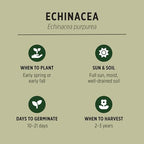 Banyan Botanicals Organic Echinacea Seeds – Easy-to-Grow Echinacea Purpurea – Attract Pollinators to Your Herb Garden – 25 Count – Open Pollinated Non-GMO