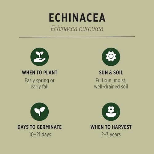 Banyan Botanicals Organic Echinacea Seeds – Easy-to-Grow Echinacea Purpurea – Attract Pollinators to Your Herb Garden – 25 Count – Open Pollinated Non-GMO