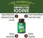 USDA Organic Raw Whole Food Iodine Supplement from Kelp (Ascophyllum Nodosum) - Potassium Iodide Tablets Alternative - for Thyroid, Energy, and Immune Support - 60 Vegan Capsules by Peak Performance