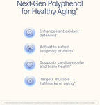 Pterostilbene Supplement (250mg, 60 Capsules) | Clinically Proven, Third-Party Tested Antioxidant for Heart & Brain Health | Activates Longevity Genes