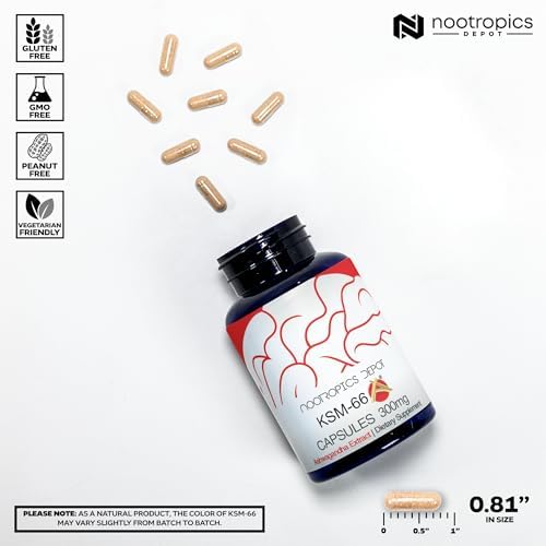 Nootropics Depot KSM-66 Ashwagandha Capsules | 300mg | 90 Count | Withania somnifera Extract | Ayurvedic Herb | Adaptogen Supplement | Promote Relaxation*