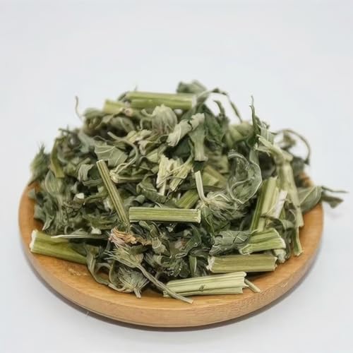 President Brand Motherwort Herb 1lb New Packaging Motherwort Herb Yi Mu Cao 16oz 益母草