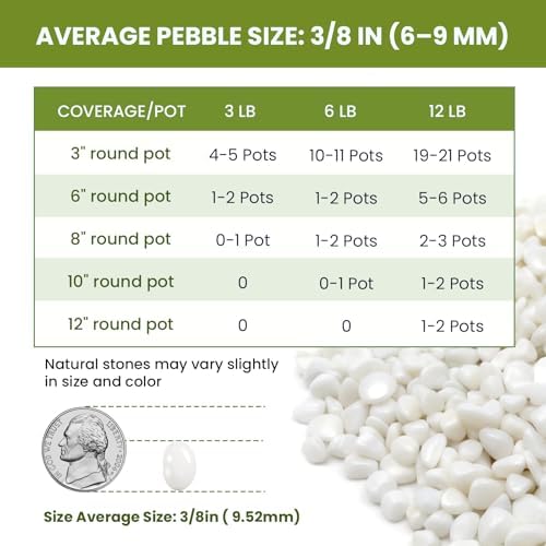 3/8 Inch Polished Decorative Pebbles, River Rocks for Indoor Plants, Succulents, Planters, Vases, Fish Tank, Aquarium Gravel & Landscaping, Snow White, 3LB