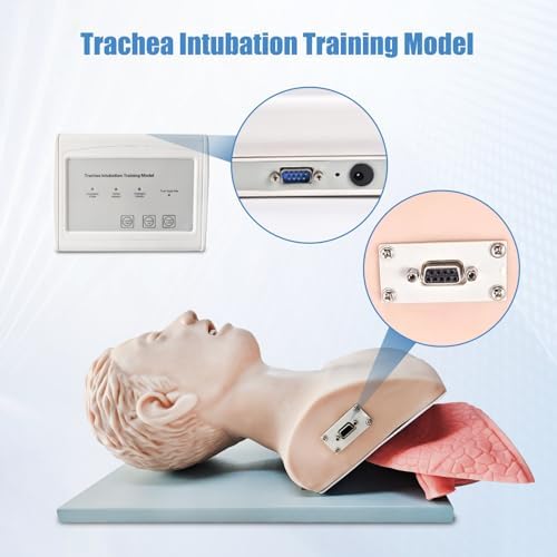 PVC Endotracheal Intubation Human Model - Tracheal Intubation Manikin Simulator Teaching aid Kit with endotracheal Tube, Oral/Nasal Intubation Human Model for Science Education/Practice/Study