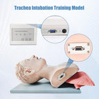 PVC Endotracheal Intubation Human Model - Tracheal Intubation Manikin Simulator Teaching aid Kit with endotracheal Tube, Oral/Nasal Intubation Human Model for Science Education/Practice/Study