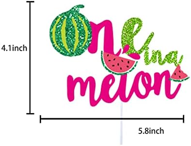 One in a Melon Cake Topper for Watermelon 1st Birthday Party Decorations