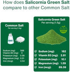 SaltWise Green Salt – 50% Less Sodium, Plant-Based Salt Substitute, 100% Dehydrated Salicornia, Natural Umami, No additives (Pack of 2)